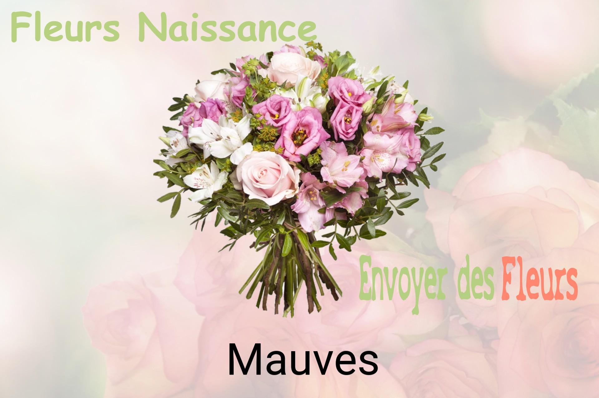 Bouquet de fleurs de naissance livré à Mauves